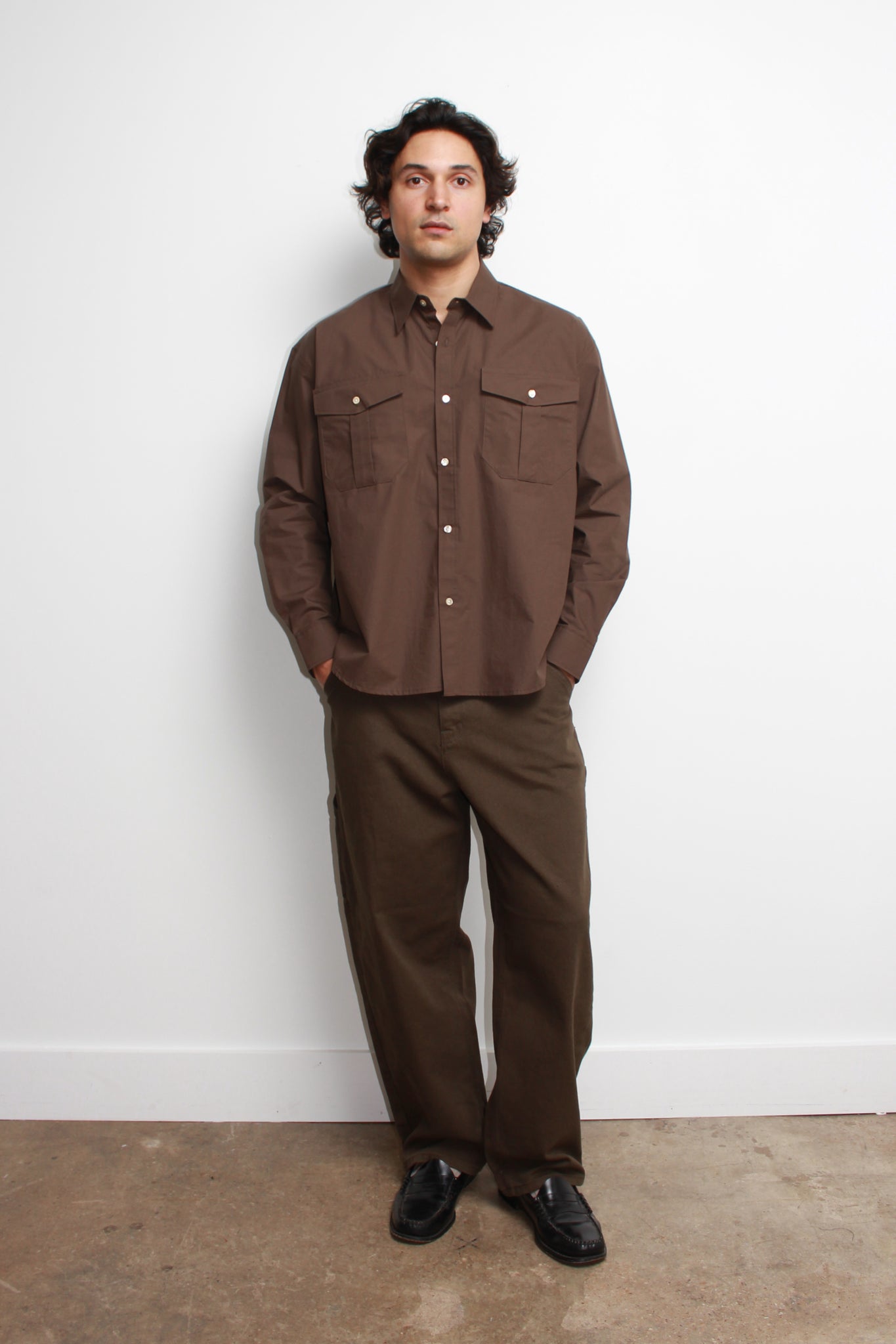 Howell Carpenter Pants in Olive Brown