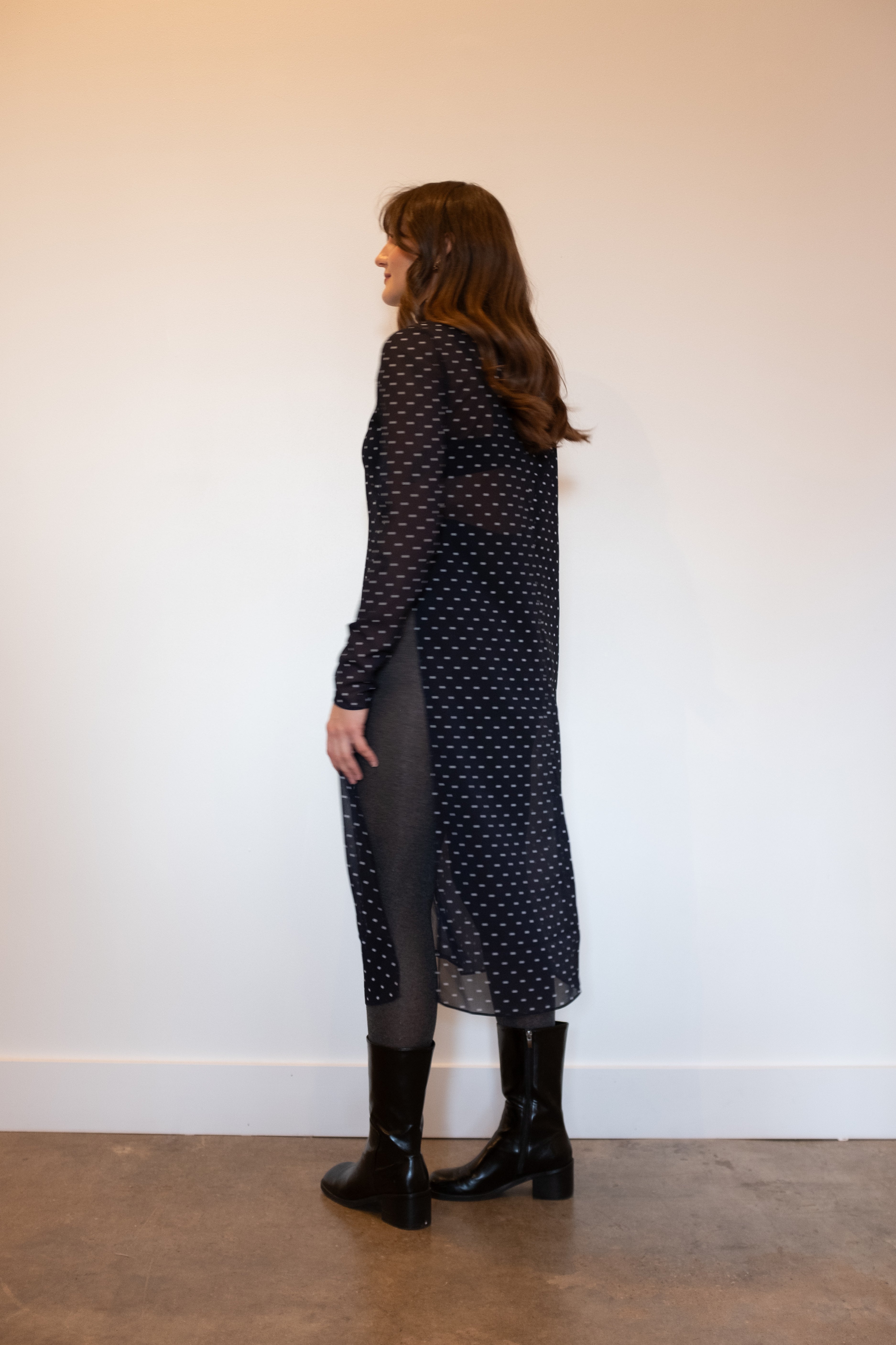 Zara polka outlet dot sheer dress