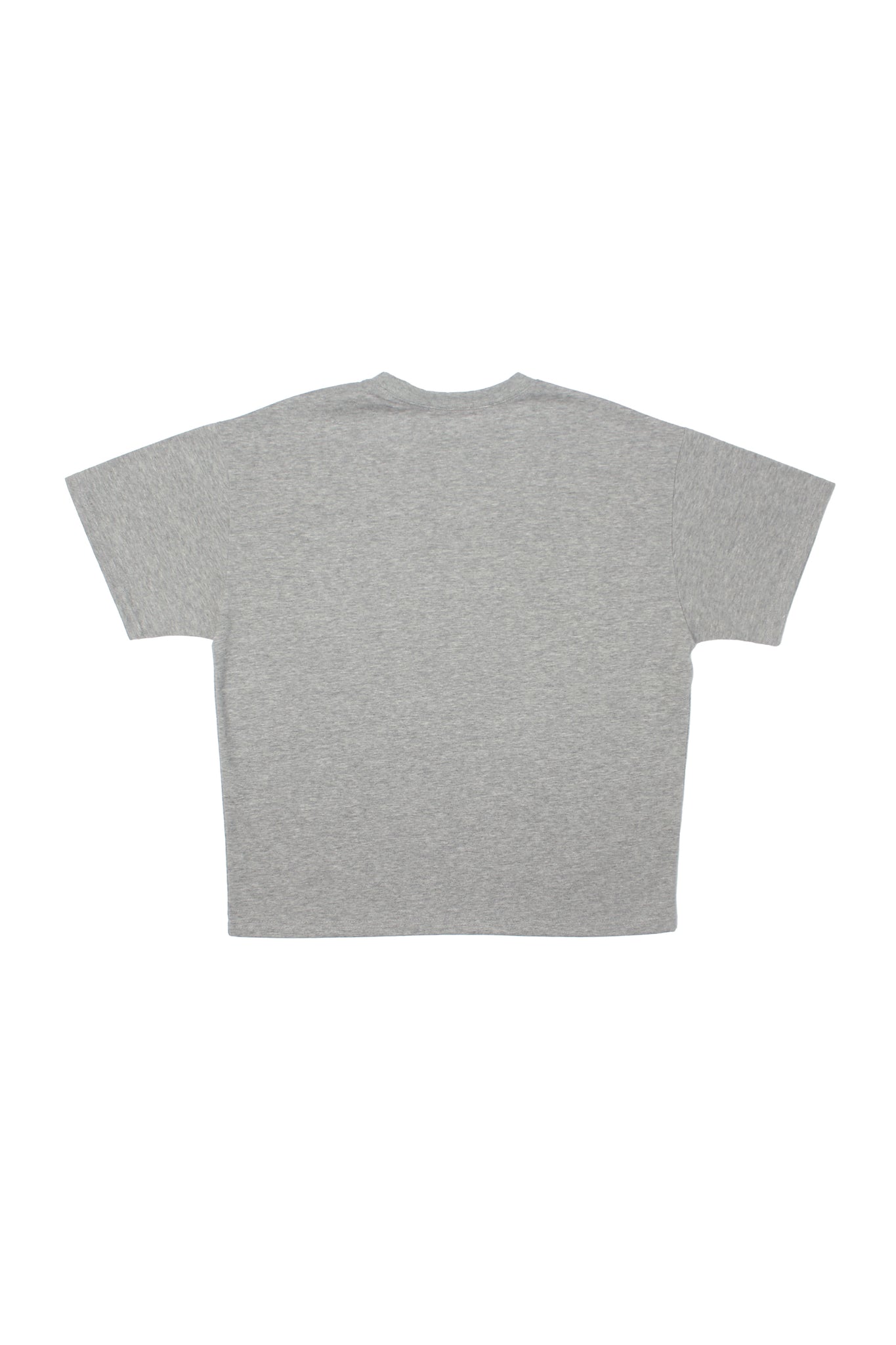 Dive Basic Crop T- Shirt in Grey