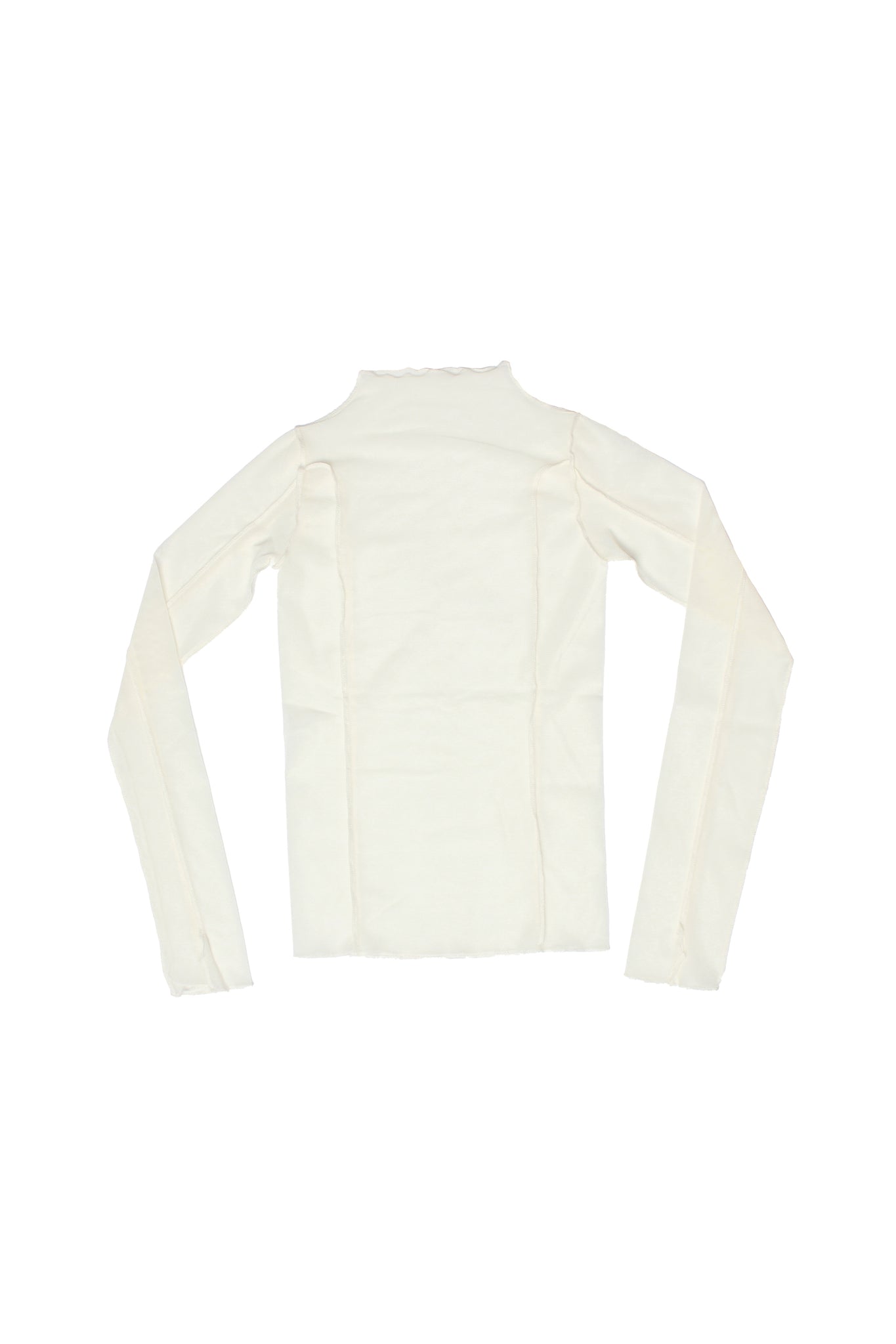 Glony Mesh Layered Mockneck top in Ivory