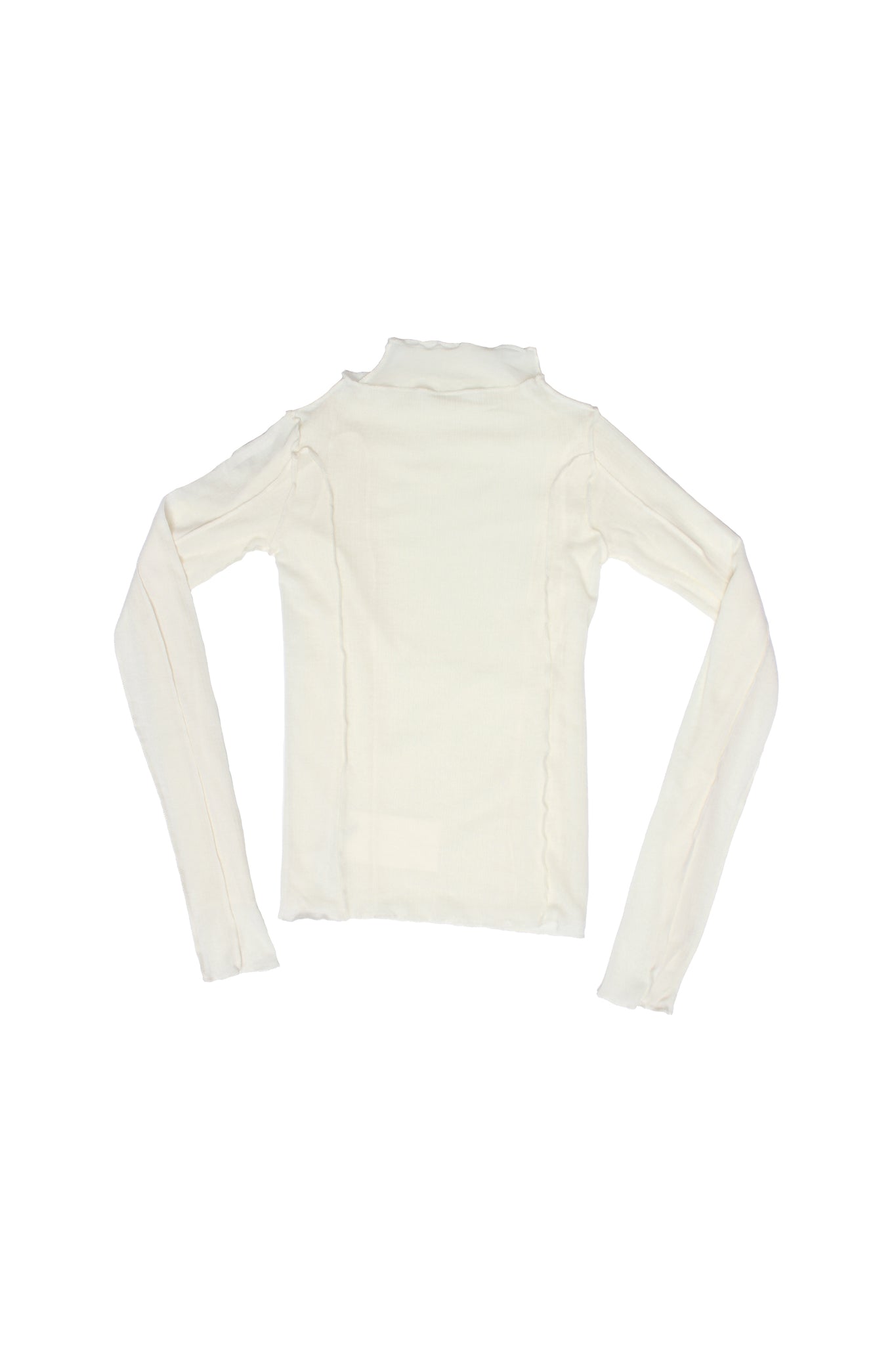 Glony Mesh Layered Mockneck top in Ivory