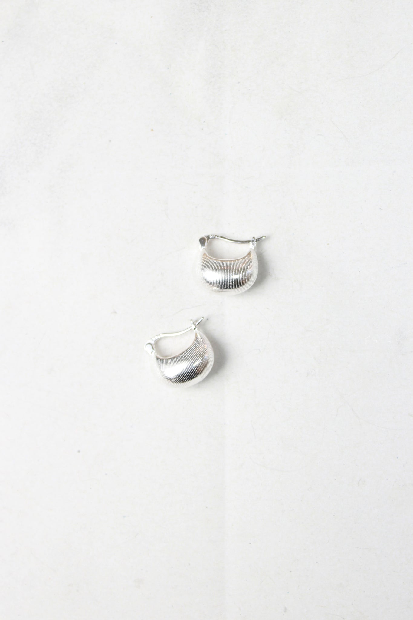 Line Shell Earring in Silver