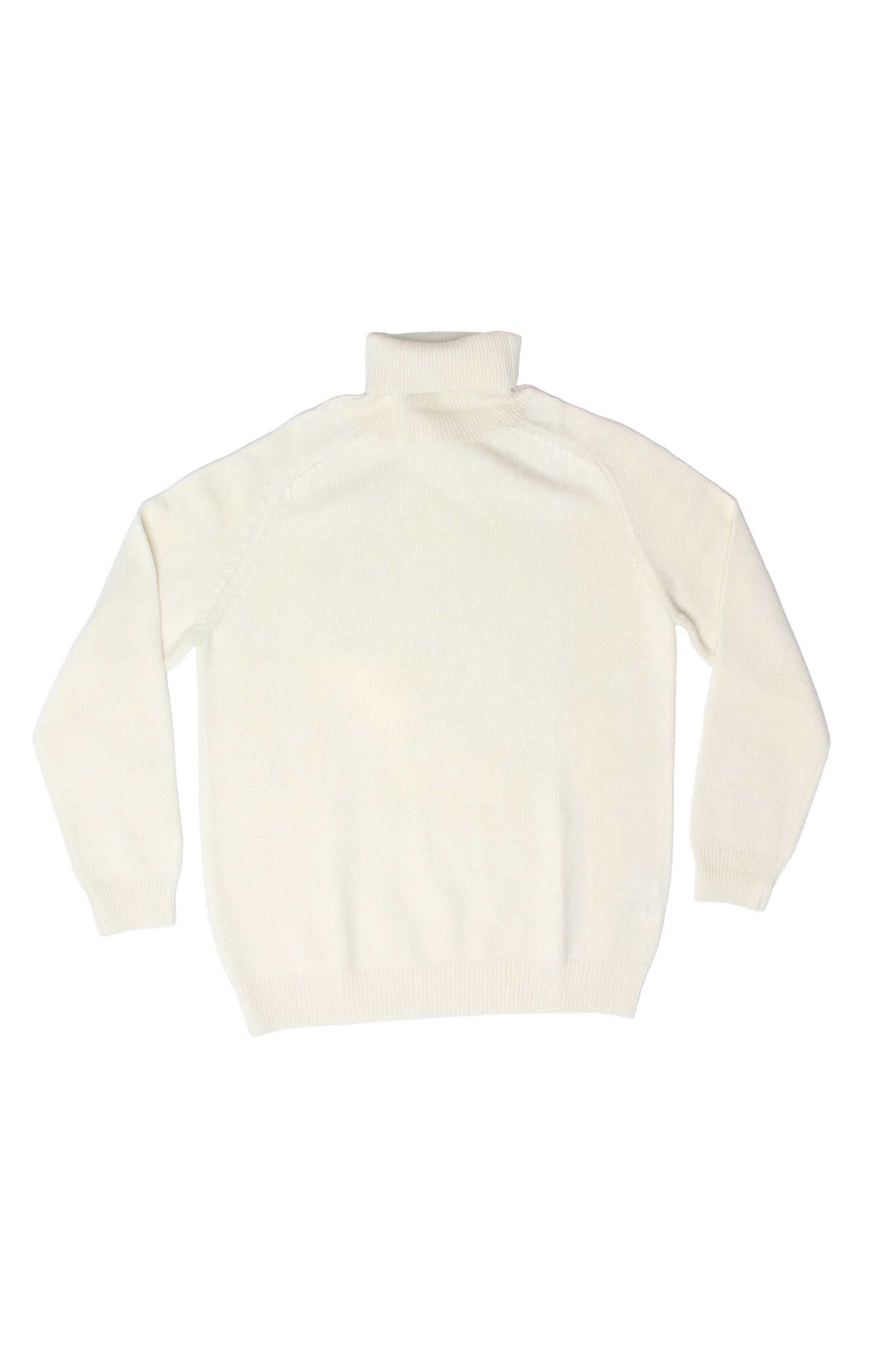 Torino Wool Turtleneck Knit in Ivory