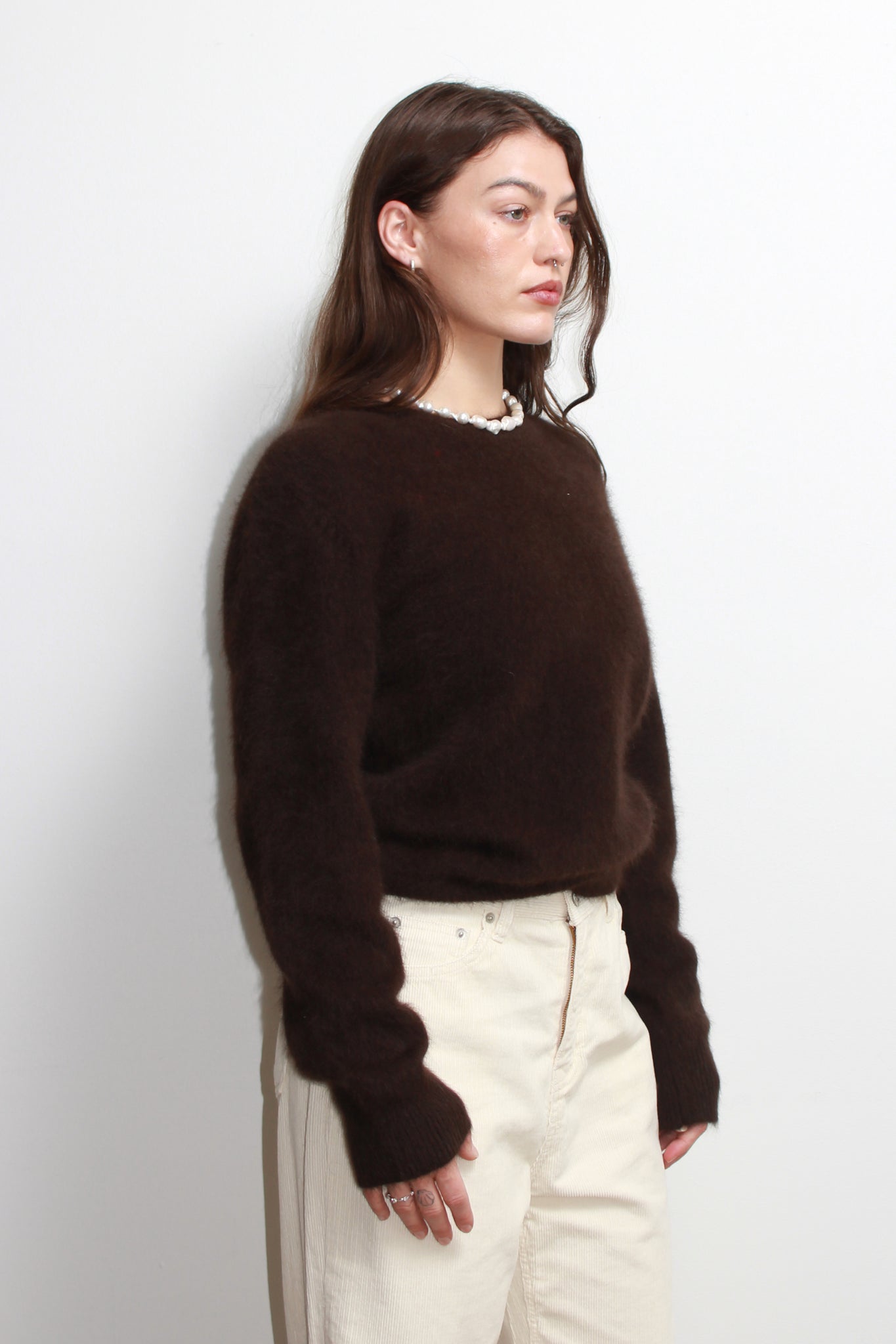 Raccoon Round Neck Sweater in Brown