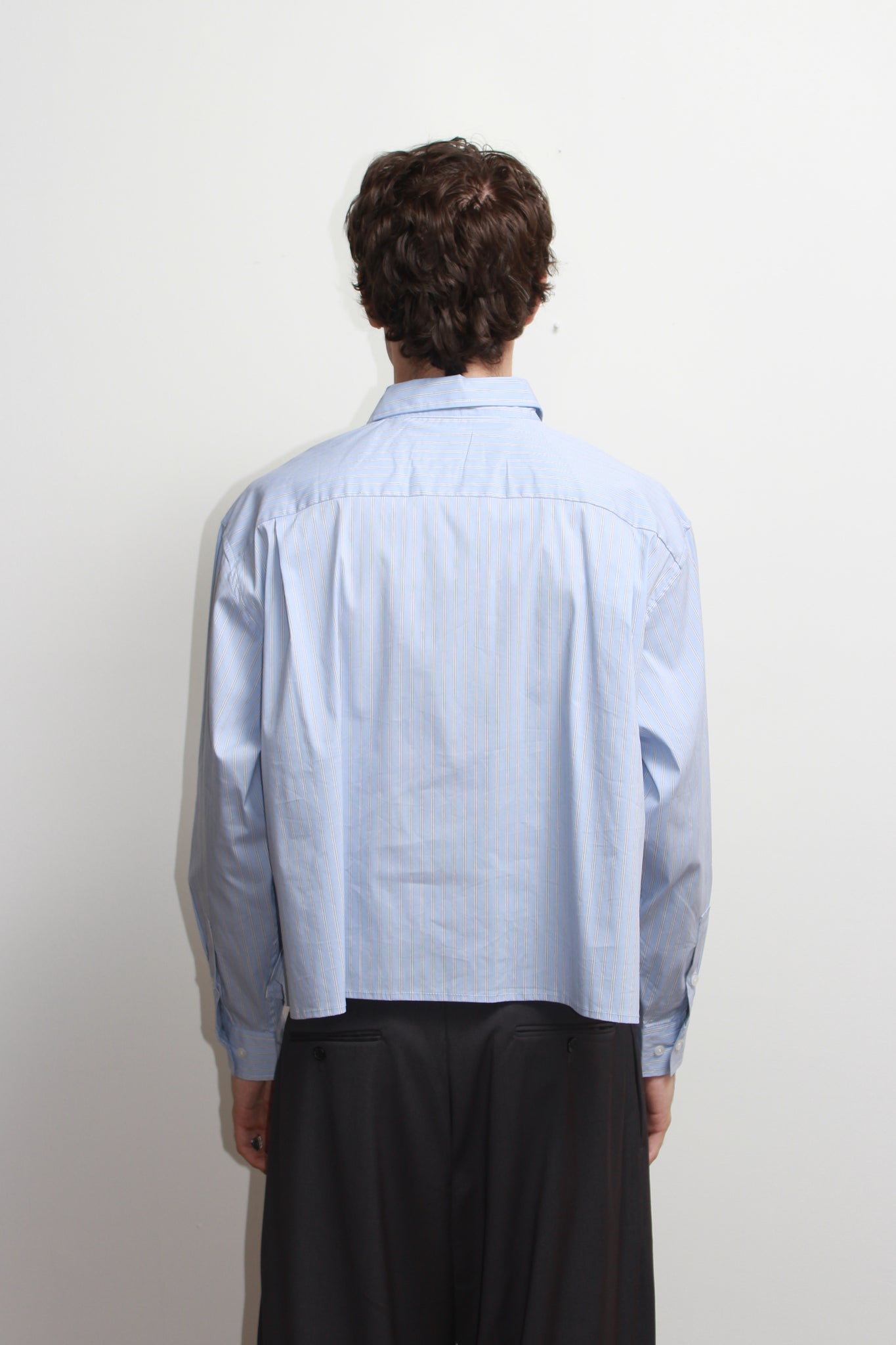 Wise Stripe Crop Shirt in Blue