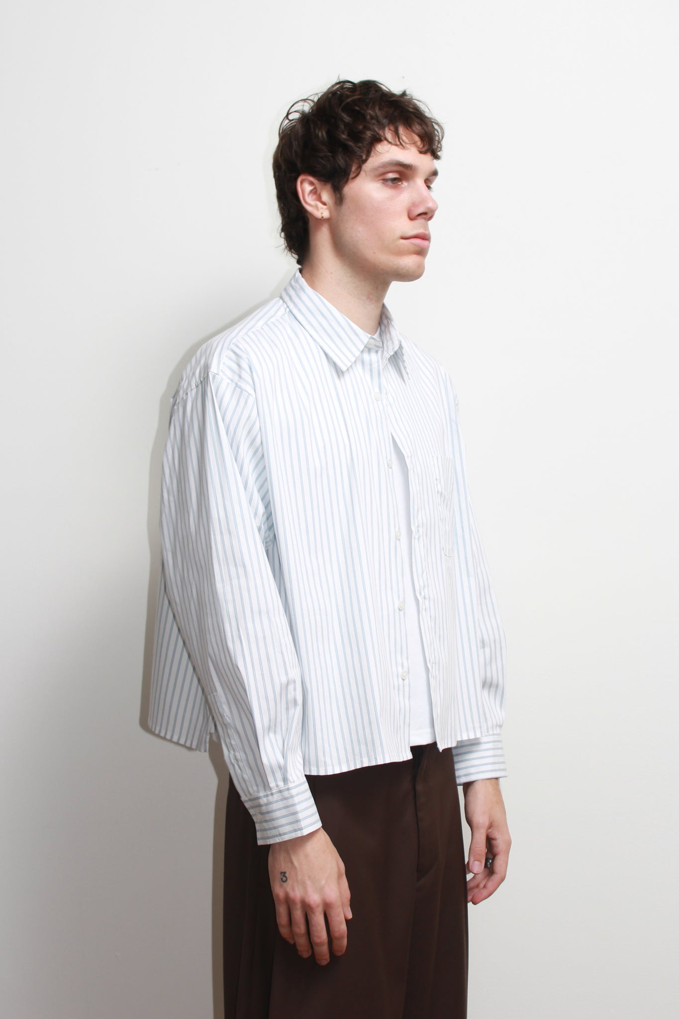Wise Stripe Crop Shirt in White