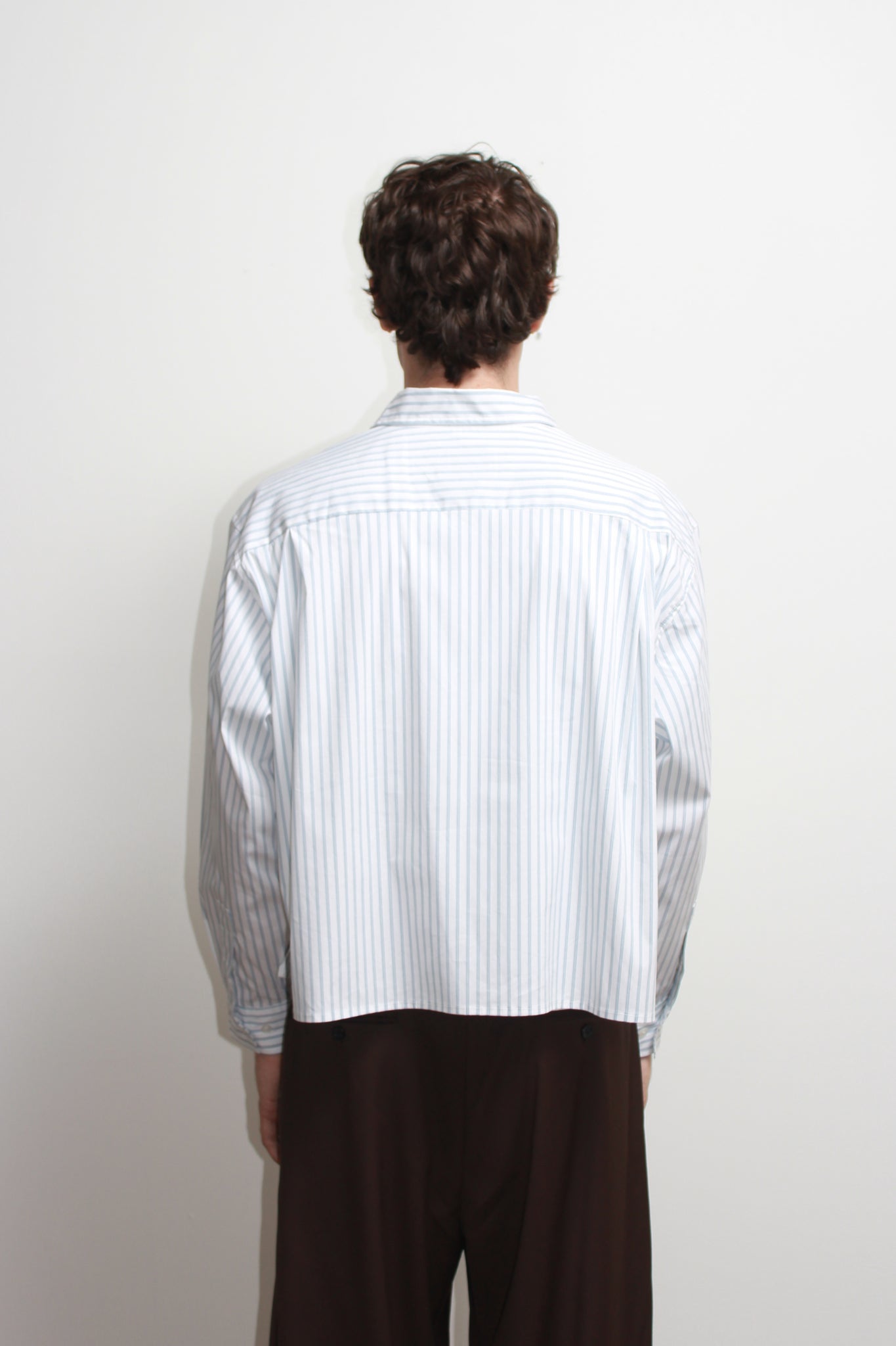 Wise Stripe Crop Shirt in White