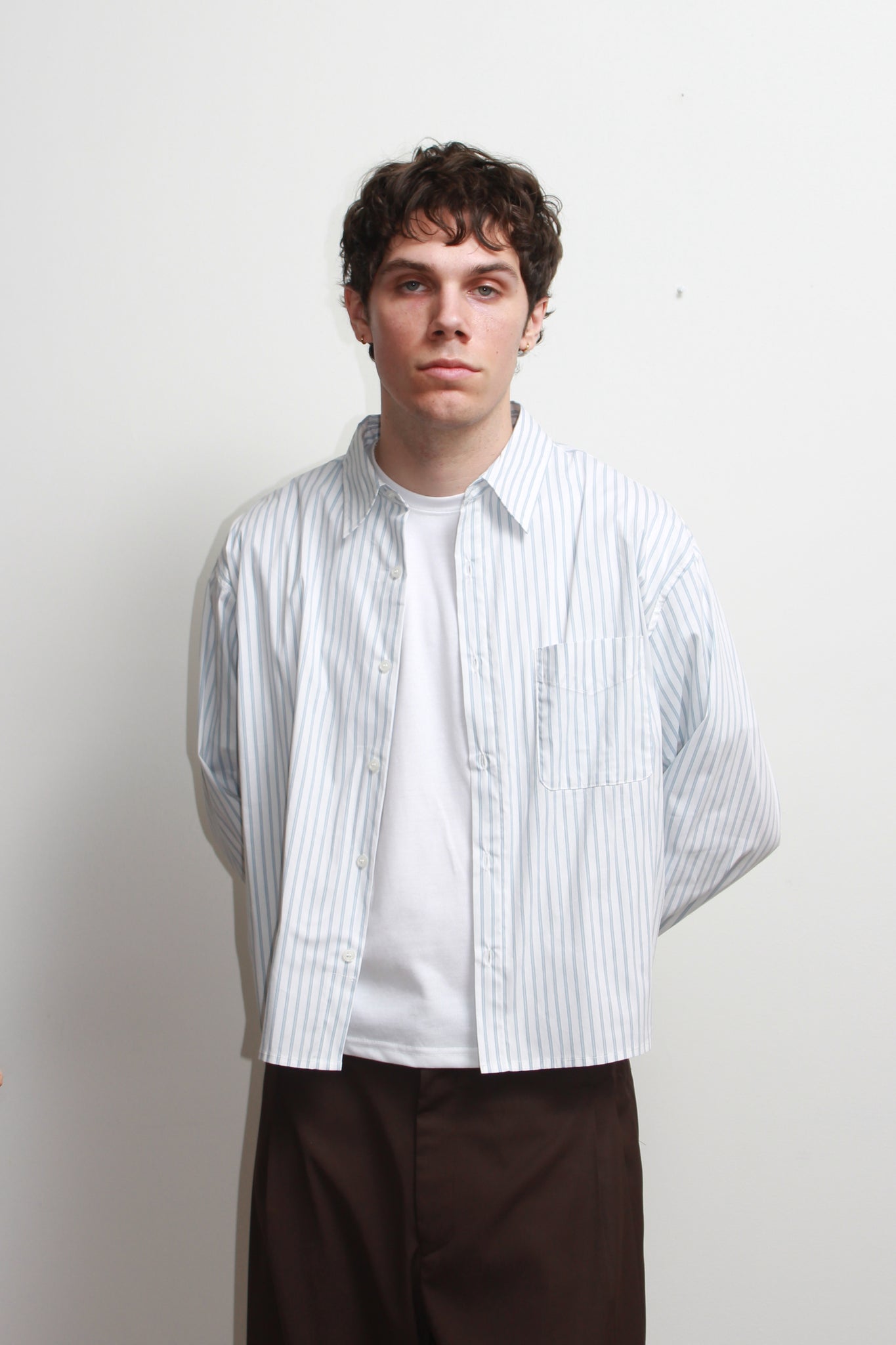 Wise Stripe Crop Shirt in White