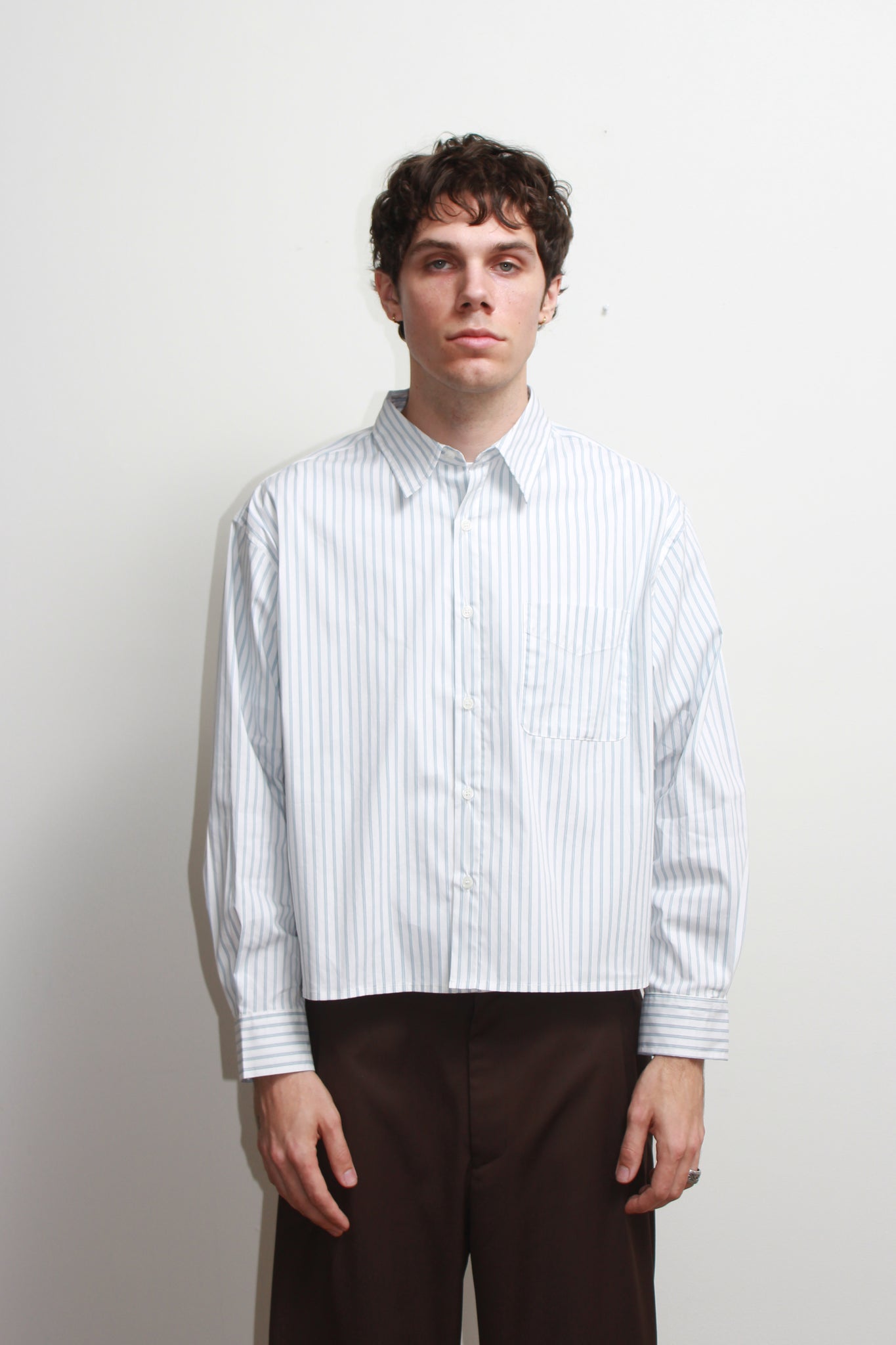 Wise Stripe Crop Shirt in White