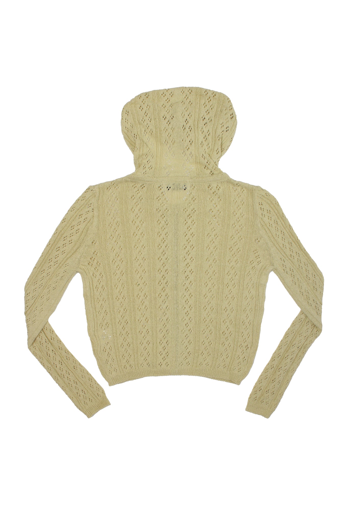 Scaci Hood Zip Up in Mint